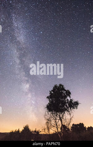 La Via Lattea visto da Iping comune, Dark Sky sito Discovery, Sussex, Regno Unito, Luglio Foto Stock