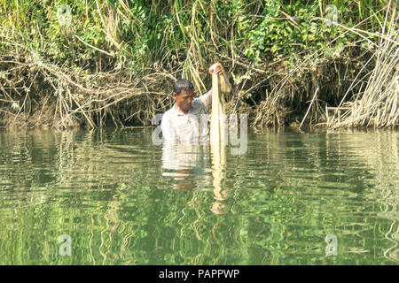 Pescatore è stato la cattura di pesci di fiume, Mrauk u Myanmar (Birmania) Foto Stock