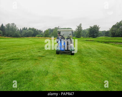 Uomo in golfcart su fairway in Rain Foto Stock