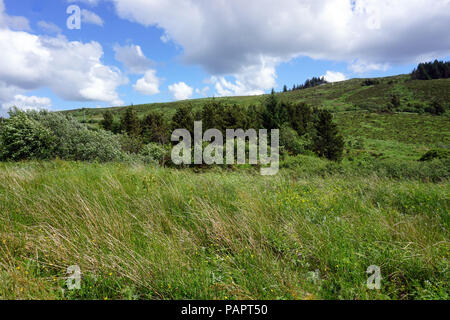 Campagna irlandese montagne Bluestack County Donegal Foto Stock