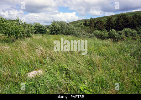 Campagna irlandese montagne Bluestack County Donegal Foto Stock