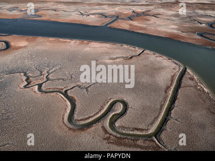 Stati Uniti d'America, Virginia, veduta aerea della Virginia costa riserva paludosa, Foto Stock