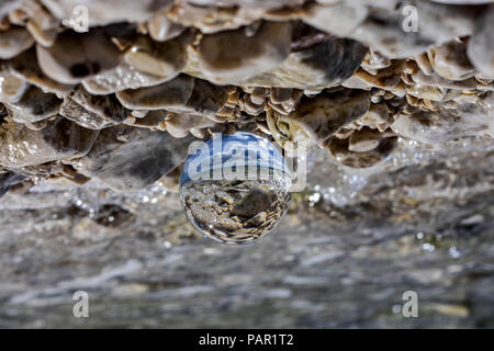 Palla di vetro seduto alla spiaggia rocciosa whit mare onda riflessa in esso/ immagine concettuale delle vacanze estive Foto Stock