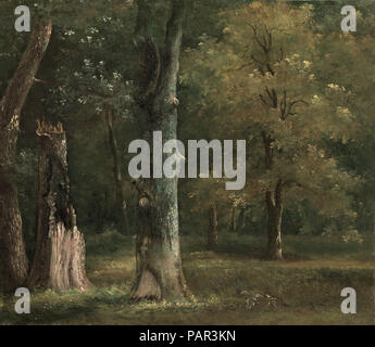 Michallon Achille Etna - Gli alberi nel Bois de Boulogne di Parigi Foto Stock