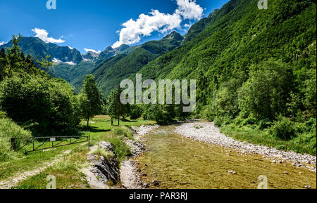 Idilliaco fiume di montagna nella valle Lepena, Soca - Slovenia Bovec. Intestazione verso Sunik boschetto di acqua di fiume Lepenca. Bellissima scena di paesaggio con Foto Stock