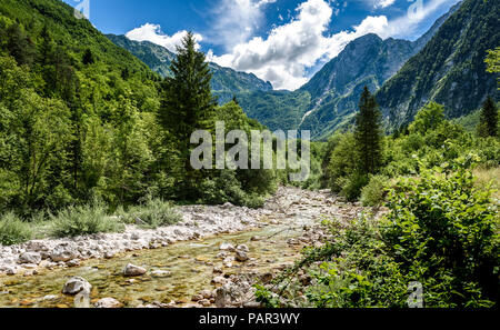 Idilliaco fiume di montagna nella valle Lepena, Soca - Slovenia Bovec. Intestazione verso Sunik boschetto di acqua di fiume Lepenca. Bellissima scena di paesaggio con Foto Stock