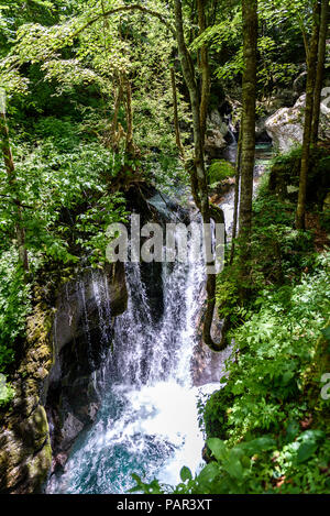 Idilliaco fiume di montagna nella valle Lepena, Soca - Slovenia Bovec. Acqua Sunik grove - bella ruscello di montagna con cascata e pool di turquo verde Foto Stock