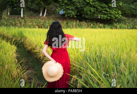 Ragazza camminare in un campo di riso indossando abito rosso tenendo un hat Foto Stock