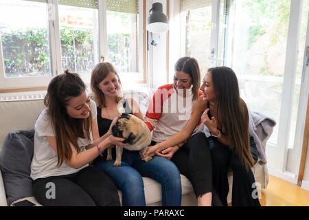 Quattro amici seduti con pug sul lettino a casa Foto Stock