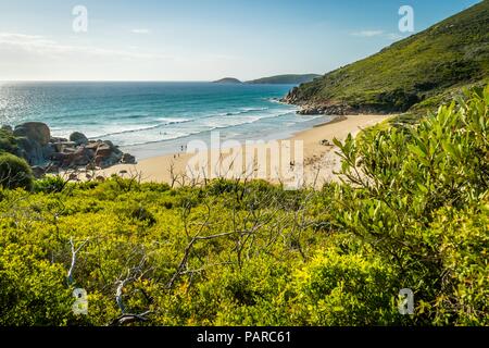 Whisky Bay beach e oceano di Wilsons Promontory national park Foto Stock