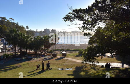 Shelly Beach e Cabbage Tree Bay riserva acquatica a Manly con sabbia e Mare di Tasman. Persone il relax sulla sabbia Shelly spiaggia di Manly. Foto Stock