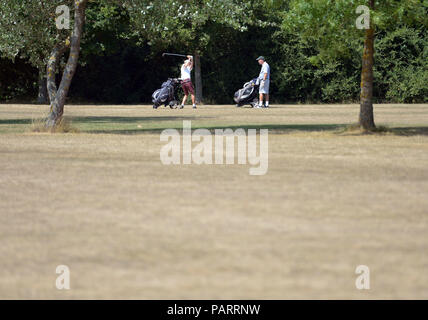 I golfisti prendere un colpo su riarsa di erba a Crondon Park golf in Essex, come il clima caldo continua in tutto il paese. Foto Stock