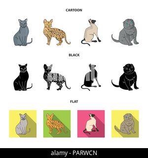 Siamesi e altre specie. Razze di gatti set di icone di raccolta in cartoon,Black,appartamento stile simbolo vettore illustrazione stock . Illustrazione Vettoriale