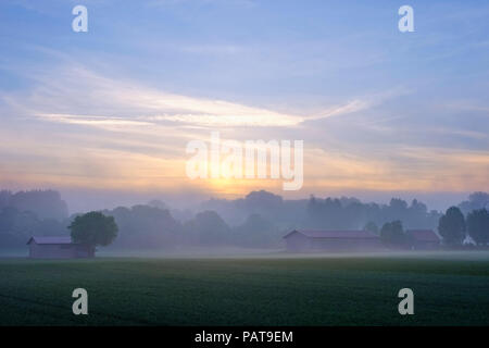 In Germania, il Land della Baviera e della Svevia, Tuerkheim, nebbia mattutina di sunrise, Augsburg Western boschi parco naturale Foto Stock