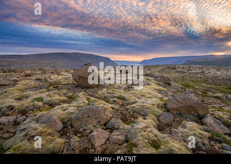Lava e moss paesaggio, area Dynjandi, West fiordi, Islanda Foto Stock