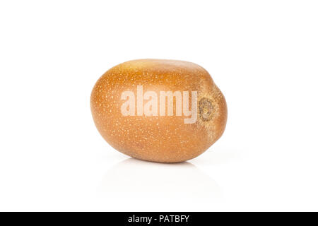 Un intero fresco golden brown kiwi sungold varietà close-up isolato su bianco Foto Stock
