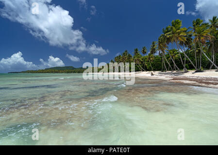 Tropical spiaggia dei Caraibi nella Repubblica Dominicana Foto Stock