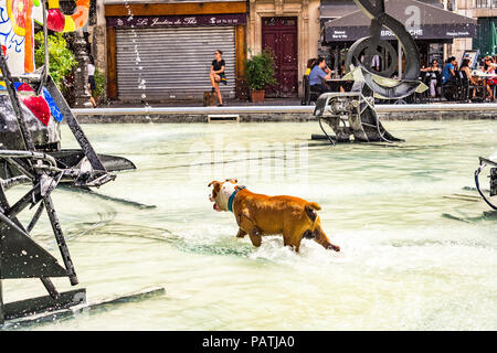 Un cane gioca nella Fontana Stravinsky, accanto al Centre Pompidou di Parigi, Francia Foto Stock