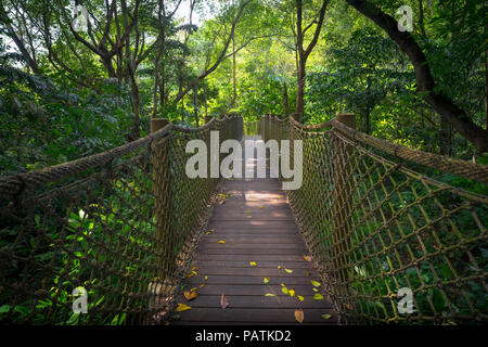 Una sospensione ponte fatto di corda, high in the Jungle tettuccio - Sungei Buloh, Singapore Foto Stock