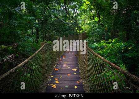 Ponte sospeso sospeso sopra la giungla in Sungei Buloh - Singapore Foto Stock