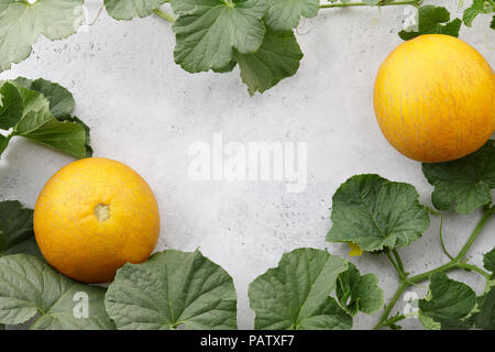 Giallo freschi Meloni e fioritura vitigni bianchi su sfondo di pietra Foto Stock