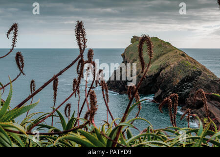 Costa di Sao Roque, Sao Miguel, isole Azzorre, Portogallo. Foto Stock