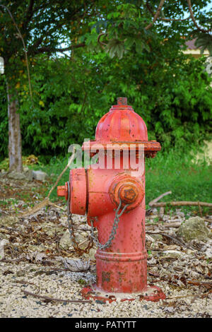 Rosso metalizzato idrante di fuoco con la formazione di ruggine nel Parco Foto Stock