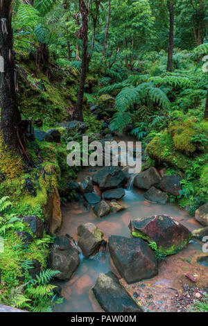 Caldeira Velha cascata e una piscina a Sao Miguel - Azzorre Isola, Portogallo. Foto Stock