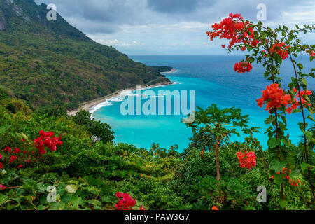 Incredibile vista dei Caraibi dal verde collina al mare azzurro. Concetto di viaggio. Repubblica Dominicana Foto Stock