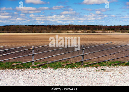 L'Estonia. Saarema. Pietre bianche di fronte la recinzione hanno campo arato su uno sfondo di cielo blu con nuvole Foto Stock