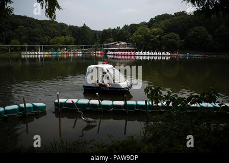 Nagoya, Giappone. Luglio 25, 2018 - che la gente guarda la fauna selvatica mentre utilizzando un pedalò a Higashiyama Zoo e Giardino Botanico in Nagoya, Giappone. Alte temperature è proseguito per tutto il paese su mercoledì. La Japan Meteorological Agency ha dichiarato la costante ondata di calore di un disastro naturale, con 65 decessi segnalati nel corso della settimana passata. L'agenzia ha previsto ha continuato a temperature elevate nelle prossime settimane. Credito: Ben Weller/AFLO/Alamy Live News Foto Stock