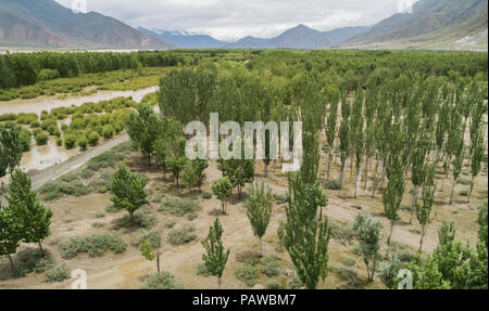 (180725) -- SHANNAN, luglio 25, 2018 (Xinhua) -- Foto aeree prese sulla luglio 23, 2018 mostra una foresta shelterbelt Naidong nel distretto di Shannan City, a sud-ovest della Cina di regione autonoma del Tibet. Per anni il governo locale ha preso misure efficaci per la lotta contro la desertificazione. (Xinhua/Liu Dongjun) (hxy) Foto Stock