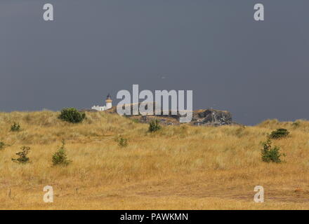 Fidra faro sull isola di Fidra visualizzato sull'erba dune coperte Scozia Luglio 2018 Foto Stock