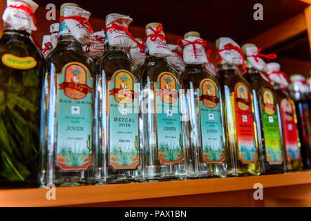 OAXACA, Messico - Ott 31, 2016: Bevande alcoliche al tessuto di Mezcal chiamato El Rey de Matatlan. Mescal è un distillato bevanda alcolica da un Foto Stock