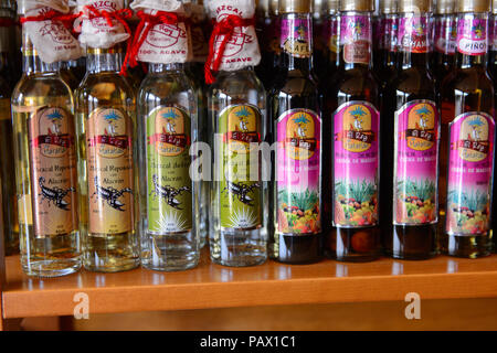 OAXACA, Messico - Ott 31, 2016: Bevande alcoliche al tessuto di Mezcal chiamato El Rey de Matatlan. Mescal è un distillato bevanda alcolica da un Foto Stock