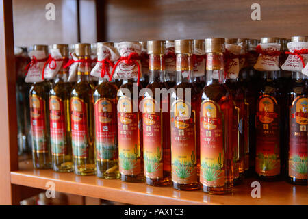 OAXACA, Messico - Ott 31, 2016: Bevande alcoliche al tessuto di Mezcal chiamato El Rey de Matatlan. Mescal è un distillato bevanda alcolica da un Foto Stock