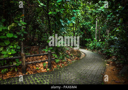 Un pittoresco recinto e passerella di pietra della curvatura attraverso Butik Batok Nature Park, nella giungla di Singapore. Foto Stock