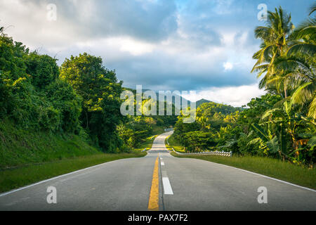 Aprire la strada attraverso una giungla tropicale con lussureggianti palme vicino a Port Barton, Palawan - Filippine Foto Stock