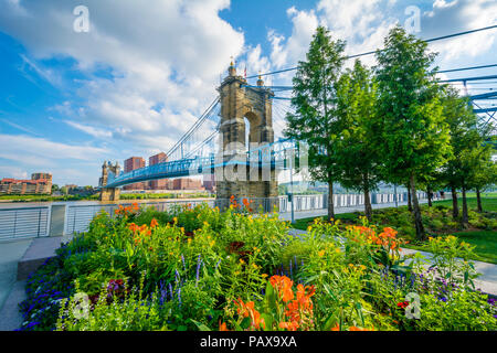 Fiori e John A. Roebling Suspension Bridge a Cincinnati, Ohio Foto Stock