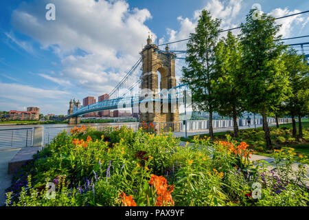 Fiori e John A. Roebling Suspension Bridge a Cincinnati, Ohio Foto Stock