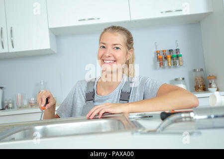 La parità nel settore idraulico Foto Stock