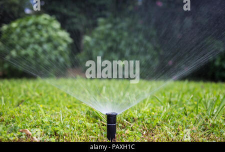 Parchi e concetto di manutenzione. Irrigazione sprinkler il prato in un parco, sfondo bokeh di fondo. Foto Stock