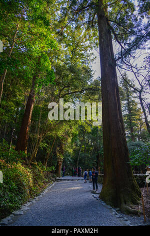 Nagoya, Giappone - Mar 17, 2018. La gente che camminava per strada a deep forest in Nagoya, Giappone. Foto Stock