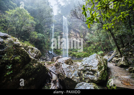 Twin Falls escursione nell'Springbrook National Park, Queensland, Australia Foto Stock