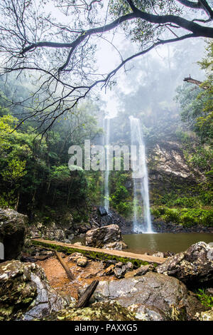 Twin Falls escursione nell'Springbrook National Park, Queensland, Australia Foto Stock