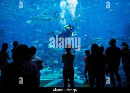 DUBAI, Emirati Arabi Uniti - 14 Febbraio 2018: persone ammirano acquario con oltre 60000 pesci, in Atlantis hotel. Capacità di acquario è di 11 milioni di litri di acqua. Du Foto Stock