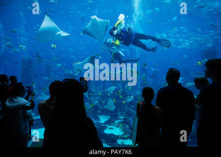 DUBAI, Emirati Arabi Uniti - 14 Febbraio 2018: persone ammirano acquario con oltre 60000 pesci, in Atlantis hotel. Capacità di acquario è di 11 milioni di litri di acqua. Du Foto Stock