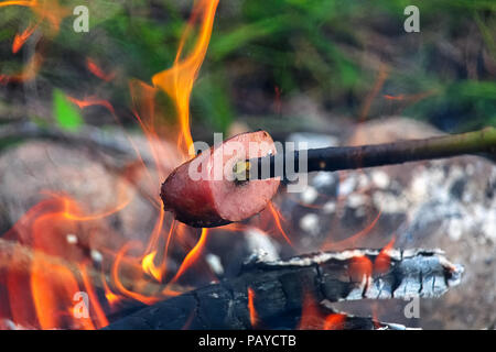 Salsiccia di cottura su un bastone oltre a un falò Foto Stock