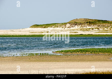 Spiagge sabbiose con salicornia cresce accanto a un lago di marea in Slufter riserva olandese sul isola di Texel Foto Stock