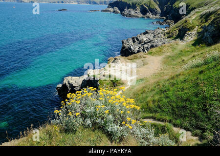 Il litorale della Cornovaglia a Newquay ha una vista spettacolare dal SOUTH WEST COAST PATH Foto Stock